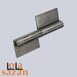لولا پرچمی جوشی